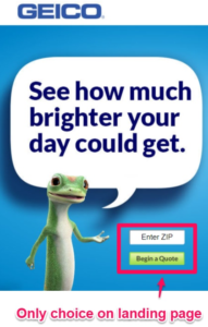 اسباب نجاح صفحة هبوط Geico هو استخدام صورة عالية الجودة للسحلية ووضوح الخيارات